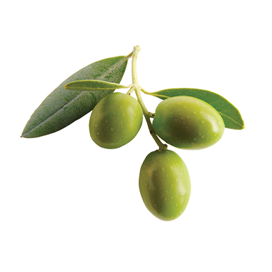 Olio Evo