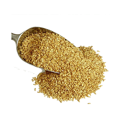Orzo