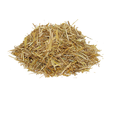 Paglia
